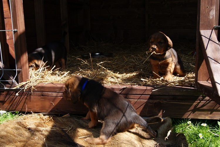 DSC03685.JPG