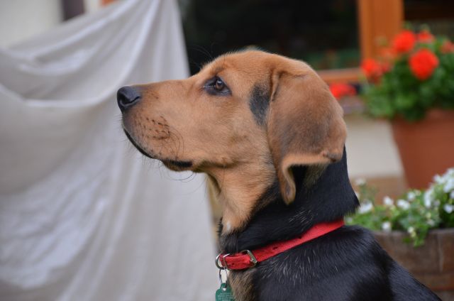 DSC_5842_.jpg