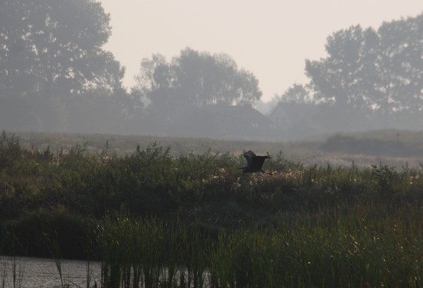 DSC_6623.JPG