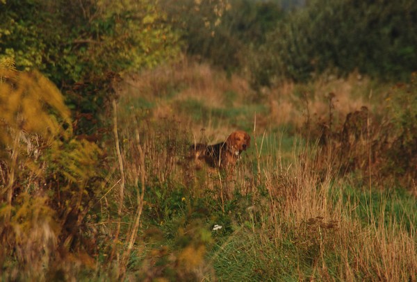 DSC_6642.JPG