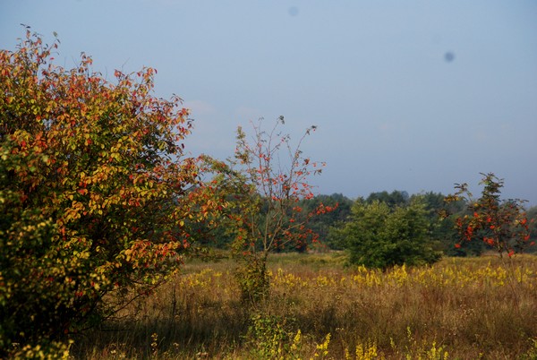 DSC_6674.JPG