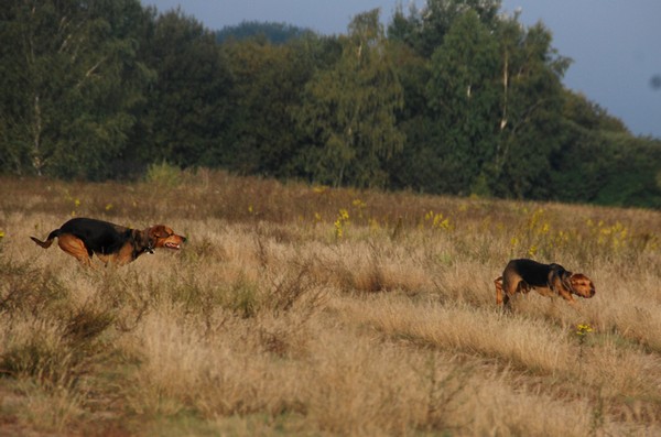 DSC_6691.JPG