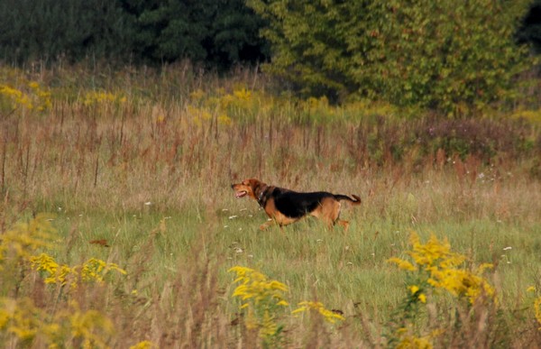DSC_6706.JPG