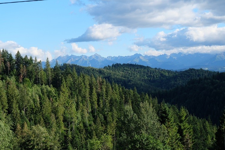 Widok z podwórka