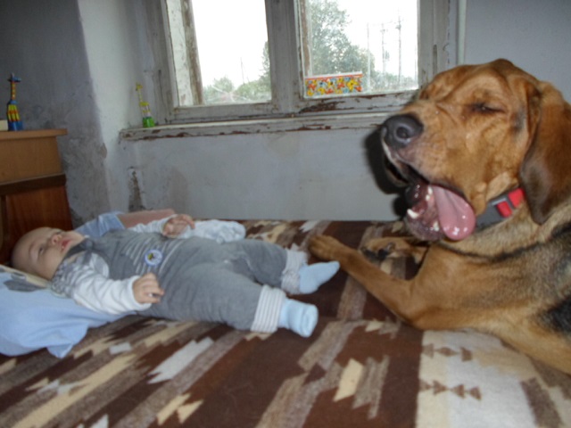 Mam dość, kto następny pilnuje?