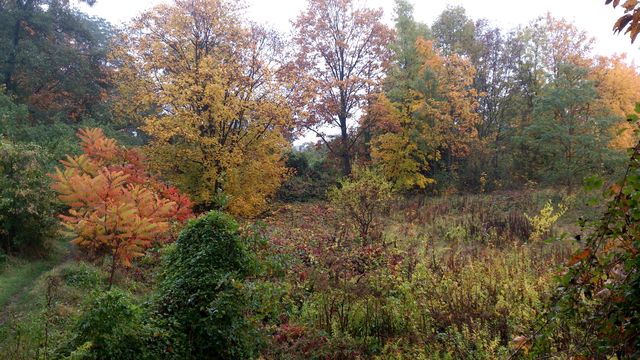 2016-10-23 2016-10-23 001 002.JPG