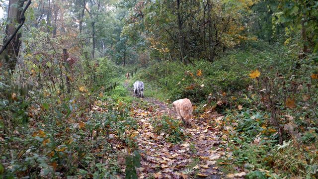 2016-10-23 2016-10-23 001 004.JPG