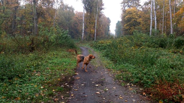 2016-10-23 2016-10-23 001 011 (1).JPG