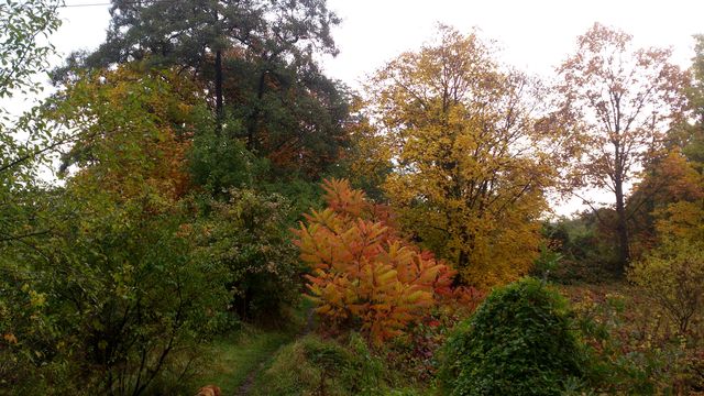 2016-10-23 2016-10-23 001 027.JPG