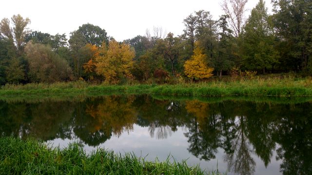 2016-10-23 2016-10-23 001 037.JPG
