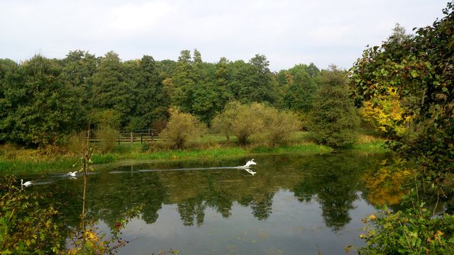 2016-10-23 2016-10-23 001 050.JPG