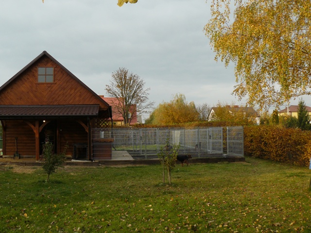 P1420534.JPG