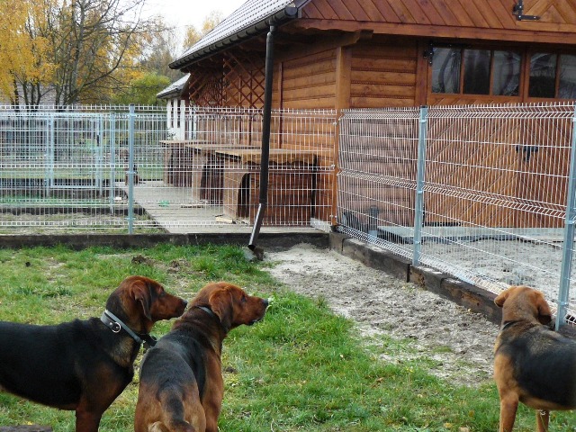 P1420825.JPG