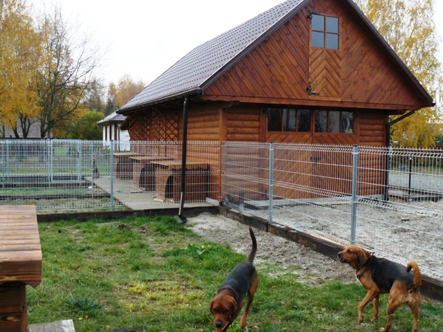 P1420827.JPG