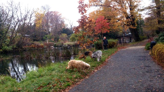 2016-11-06 2016-11-06 001 035.JPG
