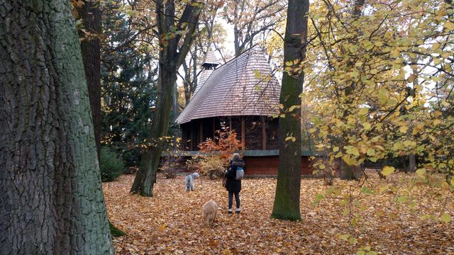 2016-11-06 2016-11-06 001 025.JPG