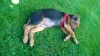 WP_20160911_018.jpg
