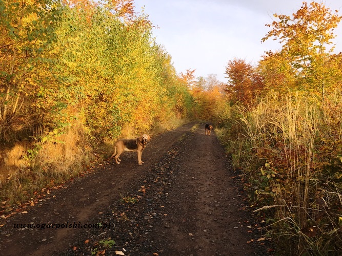 To był mój dzień, zrobiłam 6 km!!!