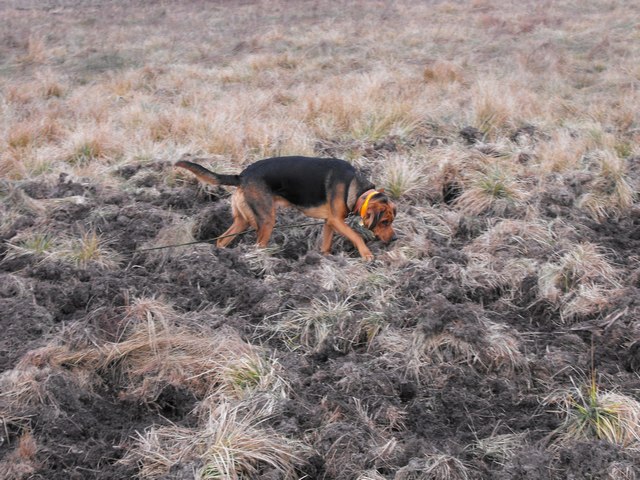 2009_1206Puławy0012.JPG