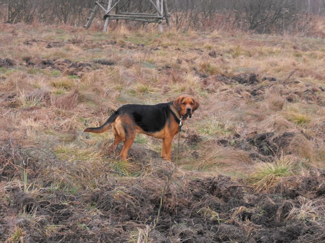 2009_1206Puławy0016.JPG