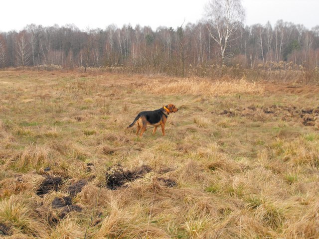 2009_1206Puławy0019.JPG