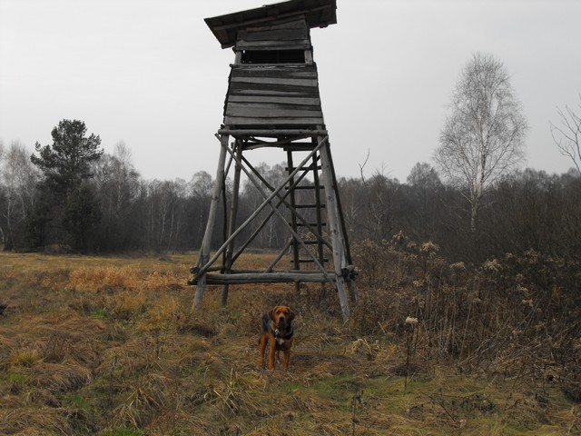 2009_1206Puławy0023.JPG