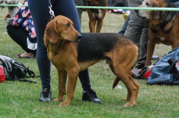DSC_6938.JPG