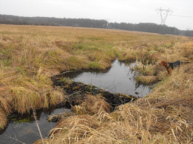 2009_1206Puławy0024.JPG