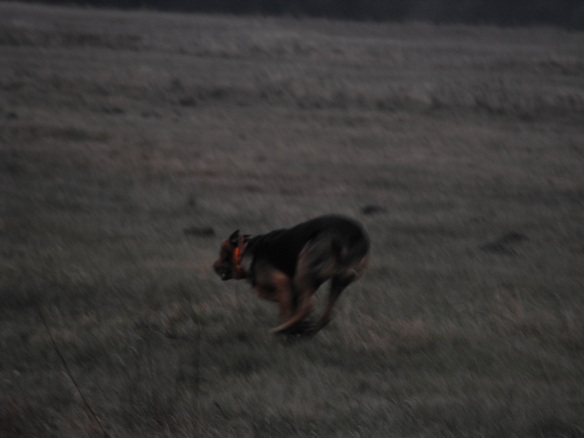 2009_1206Puławy0032.JPG