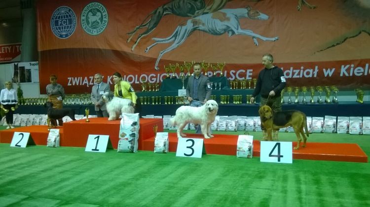 Puszkar na podium
