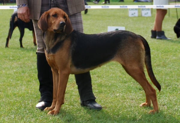 DSC_7153.JPG