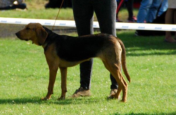 DSC_7265.JPG