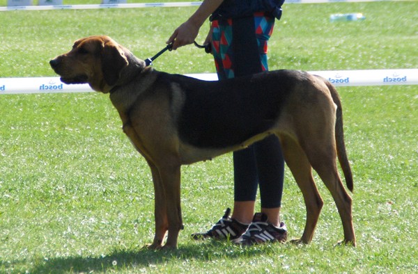 DSC_7310 a.jpg