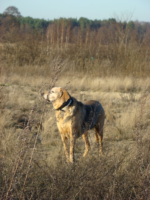 DSC09733.JPG