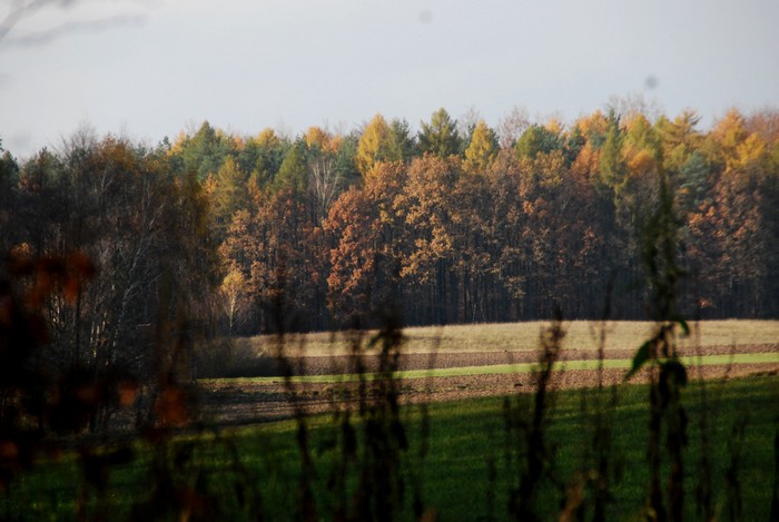 DSC_7642.JPG