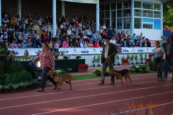DSC_0733.JPG