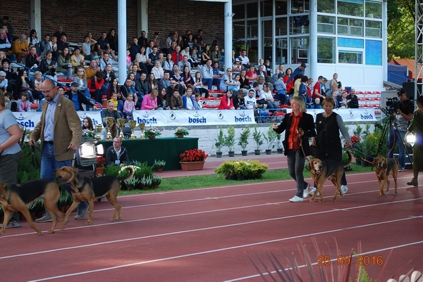 DSC_0735.JPG
