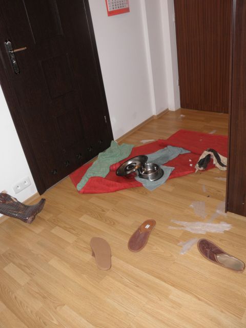 Oto co zastaliśmy...