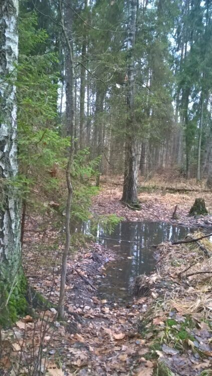 WP_20161120_11_01_10_Pro.jpg