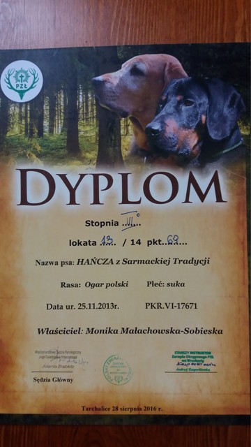 Hańczy Dyplom Tropowców III stopnia.jpg