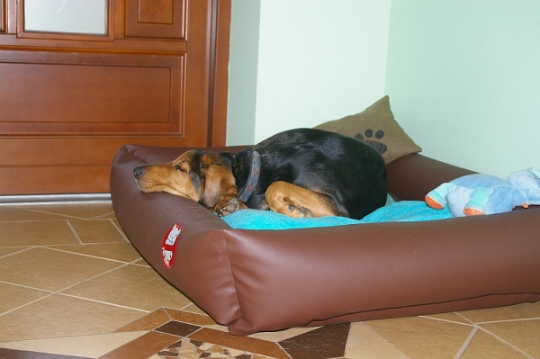 IMGP3472.jpg