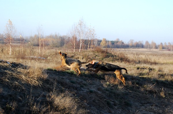 DSC_7744.JPG