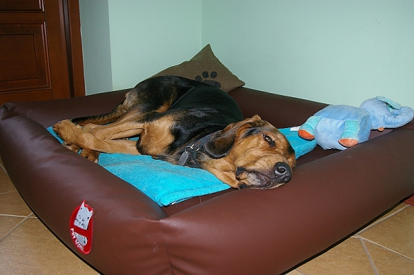 IMGP3492.jpg