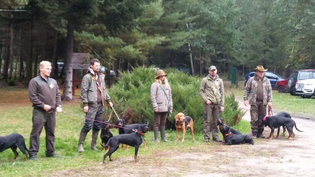 Konkurs im.płk.Kartawiaka w Jarach 2016r (2).jpg