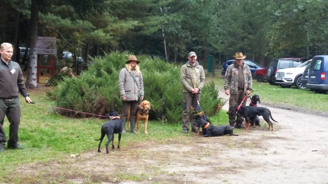 Konkurs im.płk.Kartawiaka w Jarach 2016r (3).jpg