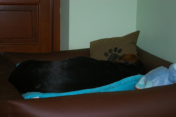 IMGP3522.jpg