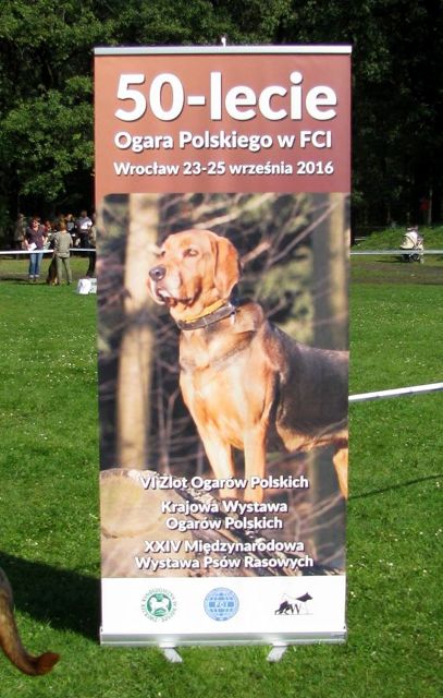 50-lecie OGARA POLSKIEGO 2016rok.jpg