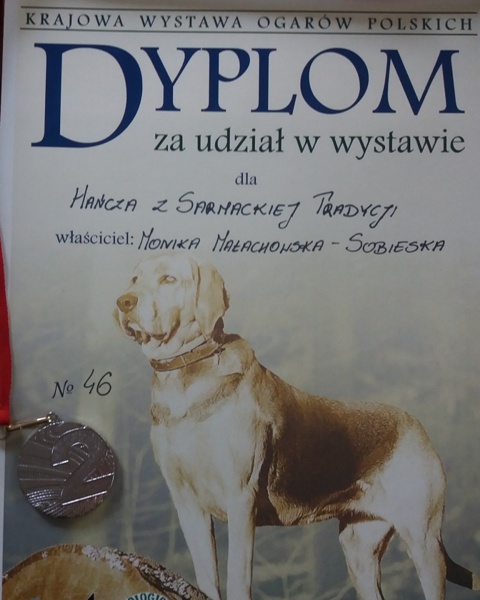 Dyplom za udział w Krajowej Wystawie Ogarów Polskich.jpg