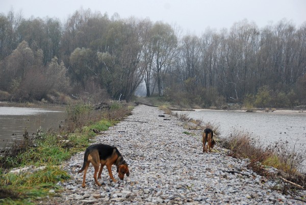 Widok w stronę lądu