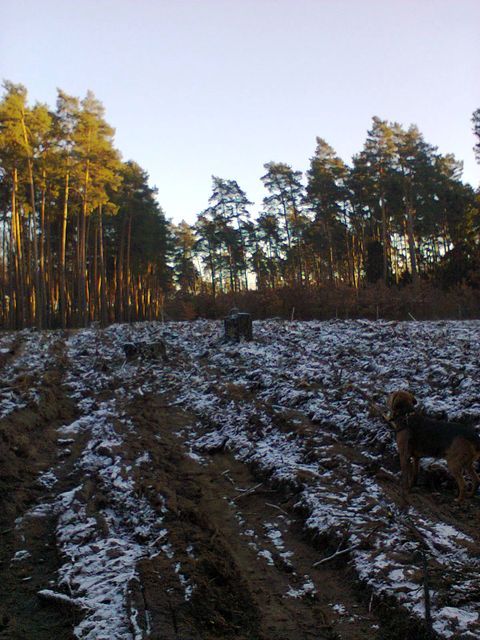Zdjęcie0981.jpg